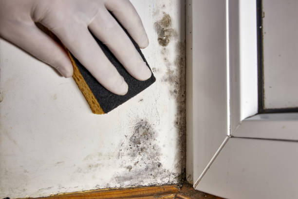 Best Asbestos and Lead Testing During Mold Inspection  in Camp Croft, SC