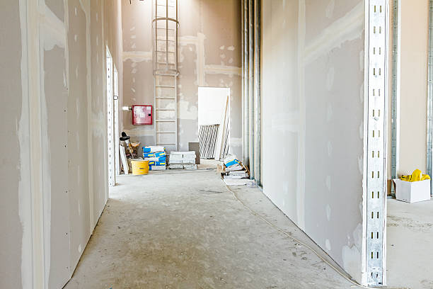 Best Emergency Mold Remediation  in Camp Croft, SC